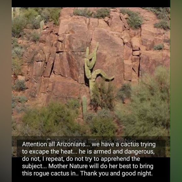 $1 NAIL STICKER SHEET. NEW. $1 WITH ANY $10 ORDER OR MORE - Picture 7 of 14